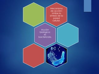 Mecanismo
de acción:
inhibe la
síntesis de la
pared
celular.
Acción
biológica:
es
bactericida.
 