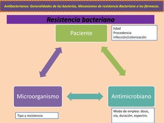 Resistencia bacteriana
Paciente
AntimicrobianoMicroorganismo
Modo de empleo: dosis,
vía, duración, espectro.Tipo y resistencia
Edad
Procedencia
Infección/colonización
Antibacterianos: Generalidades de las bacterias, Mecanismos de resistencia Bacteriana a los fármacos.
 