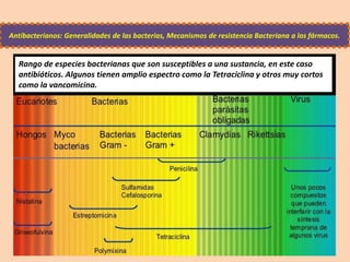 Antibacterianos: Generalidades de las bacterias, Mecanismos de resistencia Bacteriana a los fármacos.
Rango de especies bacterianas que son susceptibles a una sustancia, en este caso
antibióticos. Algunos tienen amplio espectro como la Tetraciclina y otros muy cortos
como la vancomicina.
 