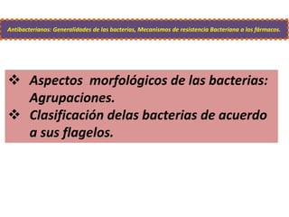 Antibacterianos: Generalidades de las bacterias, Mecanismos de resistencia Bacteriana a los fármacos.
 Aspectos morfológicos de las bacterias:
Agrupaciones.
 Clasificación delas bacterias de acuerdo
a sus flagelos.
 