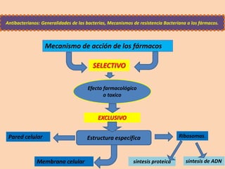 Antibacterianos: Generalidades de las bacterias, Mecanismos de resistencia Bacteriana a los fármacos.
Mecanismo de acción de los fármacos
SELECTIVO
EXCLUSIVO
Pared celular
Membrana celular síntesis proteica
Ribosomas.
síntesis de ADN
Efecto farmacológico
o toxico
Estructura específica
 