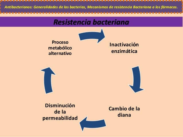 Antibioticos. macrolidos claritromicina Antibioticos. macrolidos claritromicina