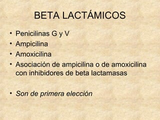 BETA LACTÁMICOS
• Penicilinas G y V
• Ampicilina
• Amoxicilina
• Asociación de ampicilina o de amoxicilina
con inhibidores de beta lactamasas
• Son de primera elección
 