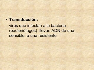 • Transducción:
virus que infectan a la bacteria
(bacteriófagos) llevan ADN de una
sensible a una resistente
 