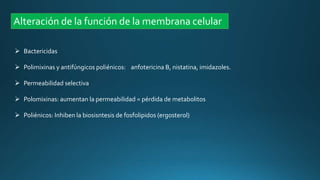 Alteración de la función de la membrana celular
 Bactericidas
 Polimixinas y antifúngicos poliénicos: anfotericina B, nistatina, imidazoles.
 Permeabilidad selectiva
 Polomixinas: aumentan la permeabilidad = pérdida de metabolitos
 Poliénicos: Inhiben la biosisntesis de fosfolipidos (ergosterol)
 