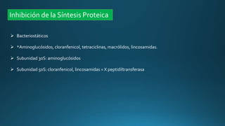 Inhibición de la Síntesis Proteica
 Bacteriostáticos
 *Aminoglucósidos, cloranfenicol, tetraciclinas, macrólidos, lincosamidas.
 Subunidad 30S: aminoglucósidos
 Subunidad 50S: cloranfenicol, lincosamidas = X peptidiltransferasa
 