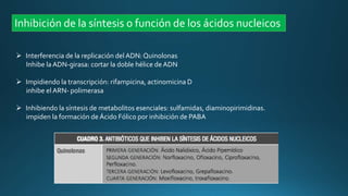 Inhibición de la síntesis o función de los ácidos nucleicos
 Interferencia de la replicación del ADN: Quinolonas
Inhibe la ADN-girasa: cortar la doble hélice de ADN
 Impidiendo la transcripción: rifampicina, actinomicina D
inhibe el ARN- polimerasa
 Inhibiendo la síntesis de metabolitos esenciales: sulfamidas, diaminopirimidinas.
impiden la formación de Ácido Fólico por inhibición de PABA
 