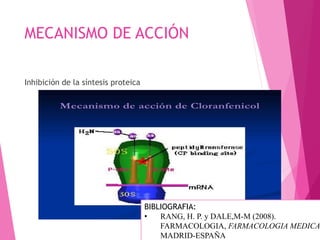 MECANISMO DE ACCIÓN
Inhibición de la síntesis proteica
BIBLIOGRAFIA:
• RANG, H. P. y DALE,M-M (2008).
FARMACOLOGIA, FARMACOLOGIA MEDICA
MADRID-ESPAÑA
 