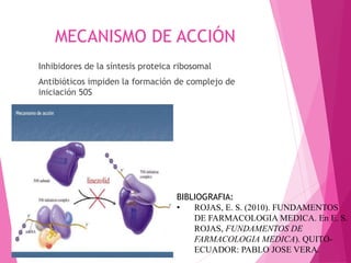 MECANISMO DE ACCIÓN
Inhibidores de la síntesis proteica ribosomal
Antibióticos impiden la formación de complejo de
iniciación 50S
BIBLIOGRAFIA:
• ROJAS, E. S. (2010). FUNDAMENTOS
DE FARMACOLOGIA MEDICA. En E. S.
ROJAS, FUNDAMENTOS DE
FARMACOLOGIA MEDICA). QUITO-
ECUADOR: PABLO JOSE VERA.
 