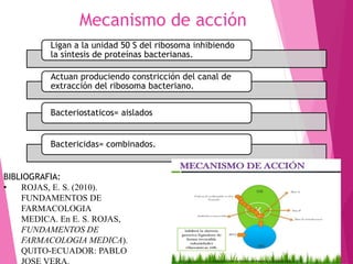 Mecanismo de acción
Ligan a la unidad 50 S del ribosoma inhibiendo
la síntesis de proteínas bacterianas.
Actuan produciendo constricción del canal de
extracción del ribosoma bacteriano.
Bacteriostaticos= aislados
Bactericidas= combinados.
BIBLIOGRAFIA:
• ROJAS, E. S. (2010).
FUNDAMENTOS DE
FARMACOLOGIA
MEDICA. En E. S. ROJAS,
FUNDAMENTOS DE
FARMACOLOGIA MEDICA).
QUITO-ECUADOR: PABLO
 