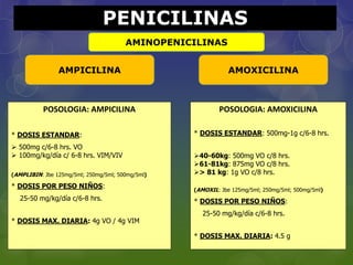 PENICILINAS
AMINOPENICILINAS
AMPICILINA AMOXICILINA
POSOLOGIA: AMOXICILINA
* DOSIS ESTANDAR: 500mg-1g c/6-8 hrs.
40-60kg: 500mg VO c/8 hrs.
61-81kg: 875mg VO c/8 hrs.
> 81 kg: 1g VO c/8 hrs.
(AMOXIL: Jbe 125mg/5ml; 250mg/5ml; 500mg/5ml)
* DOSIS POR PESO NIÑOS:
25-50 mg/kg/día c/6-8 hrs.
* DOSIS MAX. DIARIA: 4.5 g
POSOLOGIA: AMPICILINA
* DOSIS ESTANDAR:
 500mg c/6-8 hrs. VO
 100mg/kg/día c/ 6-8 hrs. VIM/VIV
(AMPLIBIN: Jbe 125mg/5ml; 250mg/5ml; 500mg/5ml)
* DOSIS POR PESO NIÑOS:
25-50 mg/kg/día c/6-8 hrs.
* DOSIS MAX. DIARIA: 4g VO / 4g VIM
 