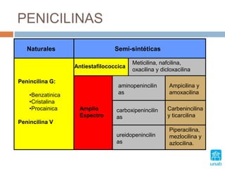 PENICILINAS
Naturales Semi-sintéticas
Penincilina G:
•Benzatinica
•Cristalina
•Procainica
Penincilina V
Antiestafilococcica
Amplio
Espectro
Meticilina, nafcilina,
oxacilina y dicloxacilina
aminopenincilin
as
carboxipenincilin
as
ureidopenincilin
as
Ampicilina y
amoxacilina
Carbenincilina
y ticarcilina
Piperacilina,
mezlocilina y
azlocilina.
 