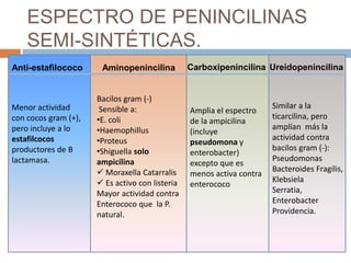 ESPECTRO DE PENINCILINAS
SEMI-SINTÉTICAS.
AminopenincilinaAnti-estafilococo Carboxipenincilina Ureidopenincilina
Bacilos gram (-)
Sensible a:
•E. coli
•Haemophillus
•Proteus
•Shiguella solo
ampicilina
 Moraxella Catarralis
 Es activo con listeria
Mayor actividad contra
Enterococo que la P.
natural.
Menor actividad
con cocos gram (+),
pero incluye a lo
estafilcocos
productores de B
lactamasa.
Similar a la
ticarcilina, pero
amplían más la
actividad contra
bacilos gram (-):
Pseudomonas
Bacteroides Fragilis,
Klebsiela
Serratia,
Enterobacter
Providencia.
Amplia el espectro
de la ampicilina
(incluye
pseudomona y
enterobacter)
excepto que es
menos activa contra
enterococo
 