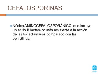 CEFALOSPORINAS
 Núcleo AMINOCEFALOSPORÁNICO, que incluye
un anillo B lactamico más resistente a la acción
de las B- lactamasas comparado con las
penicilinas.
 