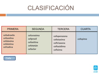 CLASIFICACIÓN
PRIMERA SEGUNDA TERCERA
cefadroxilo
cefazolina
cefalexina
cefalotina
cefradina
cefuroxima
cefprozil
cefoxitina
cefotetán
cefaclor
cefoperazona
cefotaxima
ceftriaxona
ceftazidima
cefixima
cefepime
CUARTA
Cefa…
 