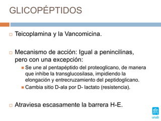 GLICOPÉPTIDOS
 Teicoplamina y la Vancomicina.
 Mecanismo de acción: Igual a penincilinas,
pero con una excepción:
 Se une al pentapéptido del proteoglicano, de manera
que inhibe la transglucosilasa, impidiendo la
elongación y entrecruzamiento del peptidoglicano.
 Cambia sitio D-ala por D- lactato (resistencia).
 Atraviesa escasamente la barrera H-E.
 