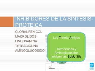 CLORANFENICOL
MACROLIDOS
LINCOSAMINA
TETRACICLINA
AMINOGLUCOSIDOS
INHIBIDORES DE LA SÍNTESIS
PROTEICA
Los Treinta Amigos
Tetraciclinas y
Aminoglucosidos
inhiben las SubU 30s
 