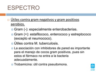 ESPECTRO
 Útiles contra gram negativos y gram positivos
aerobios.
 Gram (-): especialmente enterobacterias.
 Gram (+): estafilococo, enterococo y estreptococo
(excepto el neumococo).
 Útiles contra M. tuberculosis.
 La asociación con inhibidores de pared es importante
para el manejo de cocos gram positivos, pues sin
estos el fármaco no entra a la bacteria
adecuadamente.
 Trobamicina: útil contra pseudomona.
 