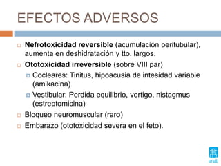 EFECTOS ADVERSOS
 Nefrotoxicidad reversible (acumulación peritubular),
aumenta en deshidratación y tto. largos.
 Ototoxicidad irreversible (sobre VIII par)
 Cocleares: Tinitus, hipoacusia de intesidad variable
(amikacina)
 Vestibular: Perdida equilibrio, vertigo, nistagmus
(estreptomicina)
 Bloqueo neuromuscular (raro)
 Embarazo (ototoxicidad severa en el feto).
 