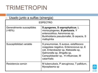 TRIMETROPIN
 Usado junto a sulfas (sinergia)
Generalmente susceptibles
(>90%)
S pyogenes, S saprophyticus, L
monocytogenes, B pertussis, Y
enterocolitica, Aeromonas sp,
Burkholderia pseudomallei, B cepacia, S
maltophilia
Susceptibilidad variable S pneumoniae, S aureus, estafilococo
coagulasa negativo, Enterococcus sp, E
coli, Enterobacter sp, Klebsiella sp,
Salmonella sp, Shigella sp,
Campylobacter sp, H influenzae, M
catarrhalis
Resistencia común M tuberculosis, P aeruginosa, T pallidum,
Mycoplasma sp
ESPECTRO
 