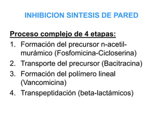 INHIBICION SINTESIS DE PARED
Proceso complejo de 4 etapas:
1. Formación del precursor n-acetil-
murámico (Fosfomicina-Cicloserina)
2. Transporte del precursor (Bacitracina)
3. Formación del polímero lineal
(Vancomicina)
4. Transpeptidación (beta-lactámicos)
 