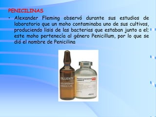 PENICILINAS
• Alexander Fleming observó durante sus estudios de
laboratorio que un moho contaminaba uno de sus cultivos,
produciendo lisis de las bacterias que estaban junto a el;
este moho pertenecía al género Penicillum, por lo que se
dió el nombre de Penicilina
 