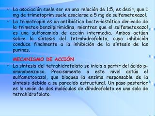 • La asociación suele ser en una relación de 1:5, es decir, que 1
mg de trimetoprim suele asociarse a 5 mg de sulfametoxazol.
• La trimetropin es un antibiótico bacteriostático derivado de
la trimetoxibenzilpirimidina, mientras que el sulfametoxazol
es una sulfonamida de acción intermedia. Ambos actúan
sobre la síntesis del tetrahidrofolato, cuya inhibición
conduce finalmente a la inhibición de la síntesis de las
purinas.
MECANISMO DE ACCIÓN
• La síntesis del tetrahidrofolato se inicia a partir del ácido p-
aminobenzoico. Precisamente a este nivel actúa el
sulfametoxazol, que bloquea la enzima responsable de la
síntesis debido a su parecido estructural. Un paso posterior
es la unión de dos moléculas de dihidrofolato en una sola de
tetrahidrofolato.
 