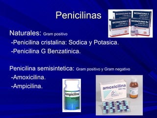 Penicilinas <ul><li>Naturales:  Gram positivo </li></ul><ul><li>-Penicilina cristalina: Sodica y Potasica. </li></ul><ul><...