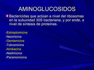 AMINOGLUCOSIDOS <ul><li>Bactericidas que actúan a nivel del ribosomas en la subunidad 30S bacteriana, y por ende, a nivel ...