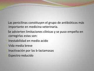 Las penicilinas constituyen el grupo de antibióticos más
  importante en medicina veterinaria.
 Se advierten limitaciones clínicas y se puso empeño en
  corregirlas estas son:
 Inestabilidad en medio acido
 Vida media breve
 Inactivación por las b-lactamasas
 Espectro reducido
 