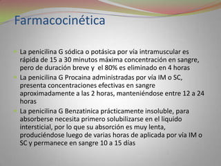 Farmacocinética

 La penicilina G sódica o potásica por vía intramuscular es
  rápida de 15 a 30 minutos máxima concentración en sangre,
  pero de duración breve y el 80% es eliminado en 4 horas
 La penicilina G Procaina administradas por vía IM o SC,
  presenta concentraciones efectivas en sangre
  aproximadamente a las 2 horas, manteniéndose entre 12 a 24
  horas
 La penicilina G Benzatinica prácticamente insoluble, para
  absorberse necesita primero solubilizarse en el liquido
  intersticial, por lo que su absorción es muy lenta,
  produciéndose luego de varias horas de aplicada por vía IM o
  SC y permanece en sangre 10 a 15 días
 