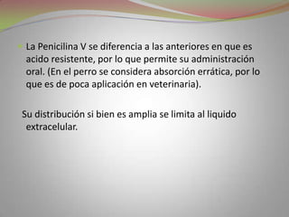  La Penicilina V se diferencia a las anteriores en que es
  acido resistente, por lo que permite su administración
  oral. (En el perro se considera absorción errática, por lo
  que es de poca aplicación en veterinaria).

 Su distribución si bien es amplia se limita al liquido
  extracelular.
 