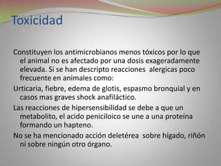 Toxicidad

Constituyen los antimicrobianos menos tóxicos por lo que
  el animal no es afectado por una dosis exageradamente
  elevada. Si se han descripto reacciones alergicas poco
  frecuente en animales como:
Urticaria, fiebre, edema de glotis, espasmo bronquial y en
  casos mas graves shock anafiláctico.
Las reacciones de hipersensibilidad se debe a que un
  metabolito, el acido peniciloico se une a una proteína
  formando un hapteno.
No se ha mencionado acción deletérea sobre hígado, riñón
  ni sobre ningún otro órgano.
 