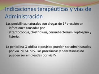 Indicaciones terapéuticas y vías de
Administración
Las penicilinas naturales son drogas de 1ª elección en
  infecciones causadas por
  streptococcus, clostridium, corinebacterium, leptospira y
  listeria.

La penicilina G sódica o potásica pueden ser administradas
  por vía IM, SC o IV. Las procainicas y benzatinicas no
  pueden ser empleadas por vía IV
 