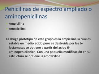 Penicilinas de espectro ampliado o
aminopenicilinas
 Ampicilina
 Amoxicilina


La droga prototipo de este grupo es la ampicilina la cual es
  estable en medio acido pero es destruida por las b-
  lactamasas se obtiene a partir del acido 6-
  aminopenicilanico. Con una pequeña modificación en su
  estructura se obtiene la amoxicilina.
 