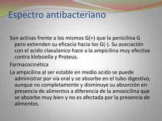 Espectro antibacteriano

Son activas frente a los mismos G(+) que la penicilina G
  pero extienden su eficacia hacia los G(-). Su asociación
  con el acido clavulanico hace a la ampicilina muy efectiva
  contra klebsiella y Proteus.
Farmacocinética
La ampicilina al ser estable en medio acido se puede
  administrar por vía oral y se absorbe en el tubo digestivo,
  aunque no completamente y disminuye su absorción en
  presencia de alimentos a diferencia de la amoxicilina que
  se absorbe muy bien y no es afectada por la presencia de
  alimentos.
 