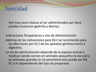 Toxicidad

 Son muy poco tóxicos al ser administrados por boca
 pueden ocasionar gastritis y diarrea.

Indicaciones Terapéuticas y vías de Administración
Además de las indicaciones para G(+) se recomienda para
  las afecciones por G(-) de los aparatos genitourinario y
  digestivo.
La vía de administración depende de la especie animal a
  medicar siendo común en animales pequeños la vía oral y
  en animales grandes la vía parenteral esta puede ser IM,
  SC o IV dependiendo del tipo de preparado.
 