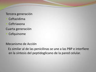 Tercera generación
 Ceftazidima
 Ceftriaxona
Cuarta generación
 Cefquinome


Mecanismo de Acción
 Es similar al de las penicilinas se une a las PBP e interfiere
 en la síntesis del peptidoglicano de la pared celular.
 