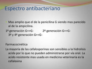 Espectro antibacteriano

 Mas amplio que el de la penicilina G siendo mas parecido
  al de la ampicilina.
1º generación G+>G-        2º generación G+=G-
  3º y 4º generación G+<G-

Farmacocinética
La mayoría de las cefalosporinas son sensibles a la hidrolisis
  acida por lo que no pueden administrarse por vía oral. La
  acido resistente mas usada en medicina veterinaria es la
  cefalexina
 