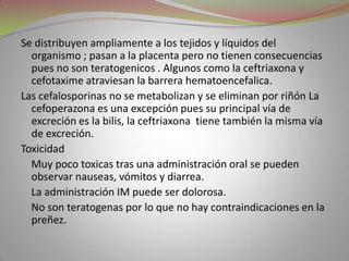 Se distribuyen ampliamente a los tejidos y líquidos del
  organismo ; pasan a la placenta pero no tienen consecuencias
  pues no son teratogenicos . Algunos como la ceftriaxona y
  cefotaxime atraviesan la barrera hematoencefalica.
Las cefalosporinas no se metabolizan y se eliminan por riñón La
  cefoperazona es una excepción pues su principal vía de
  excreción es la bilis, la ceftriaxona tiene también la misma vía
  de excreción.
Toxicidad
  Muy poco toxicas tras una administración oral se pueden
  observar nauseas, vómitos y diarrea.
  La administración IM puede ser dolorosa.
  No son teratogenas por lo que no hay contraindicaciones en la
  preñez.
 