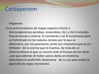 Carbapenem

 Imipenem
Es el antimicrobiano de mayor espectro frente a
  microorganismos aerobios, anaerobios, G(-) y G(+) incluidos
  Pseudomonas y Listeria. Es resistente a las B-lactamasas pero
  es hidrolizado en los tubulos renales por lo que se
  administra, por vía parenteral, junto con cilastatina que es un
  inhibidor de la enzima que lo inactiva. Se trata de un
  antimicrobiano al que se recurre ante el fracaso de los otros
  , por que además de haber pocos datos en medicina
  veterinaria es preferible abstenerse de su uso para evitar la
  aparición de cepas resistentes.
 