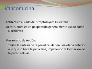 Vancomicina

Antibiótico aislado del streptomyces Orientalis
Su estructura es un polipeptido generalmente usado como
  clorhidrato

Mecanismo de Acción:
 Inhibe la síntesis de la pared celular en una etapa anterior
  a lo que lo hace la penicilina, impidiendo la formación de
  la pared celular
 
