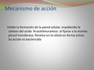 Mecanismo de acción


Inhibe la formación de la pared celular, impidiendo la
 síntesis del acido N-acetilmuramico al fijarse a la enzima
 piruvil transferasa. Penetra en la célula en forma activa.
 Su acción es bactericida
 