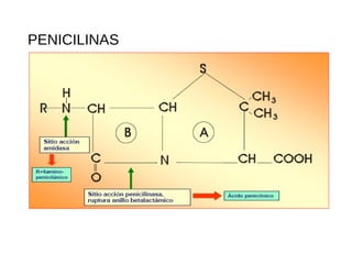 PENICILINAS
 