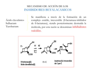 MECANISMO DE ACCIÓN DE LOS
INHIBIDORES BETALACAMICOS
Ácido clavulánico
Sulbactam
Tazobactam
Se manifiesta a través de la formación de un
complejo estable, irreversible (ß-lactamasa-inhibidor
de ß-lactamasa), siendo posteriormente destruida la
molécula, por esta razón se denominan inhibidores
suicidas.
 