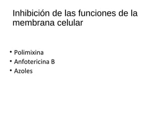 Inhibición de las funciones de la
membrana celular
• Polimixina
• Anfotericina B
• Azoles
 