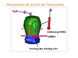 Mecanismo de acción de Tetraciclina
 