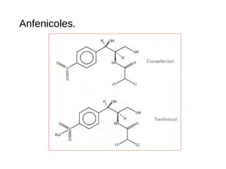 Anfenicoles.
 