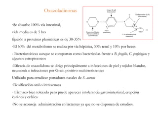 Oxazoladinonas
-Se absorbe 100% vía intestinal,
vida media es de 5 hrs
fijación a proteínas plasmáticas es de 30-35%
-El 60% del metabolismo se realiza por vía hépática, 30% renal y 10% por heces
- Bacteriostáticas aunque se comportan como bactericidas frente a B. fragilis, C. perfringens y
algunos estreptococos
-Eficacia de oxazolidona se dirige principalmente a infecciones de piel y tejidos blandos,
neumonía e infecciones por Gram positivo multirresisrentes
Utilizado para erradicar portadores nasales de S. aureus
-Dosificación oral o intravenosa
- Fármaco bien tolerado pero puede aparecer intolerancia gastrointestinal, erupción
cutánea y cefalea
-No se aconseja administración en lactantes ya que no se disponen de estudios.
 