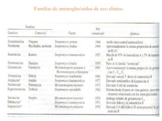 Familias de aminoglicósidos de uso clínico
 